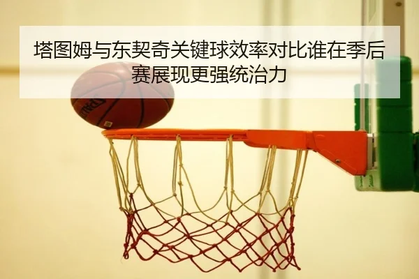 塔图姆与东契奇关键球效率对比谁在季后赛展现更强统治力